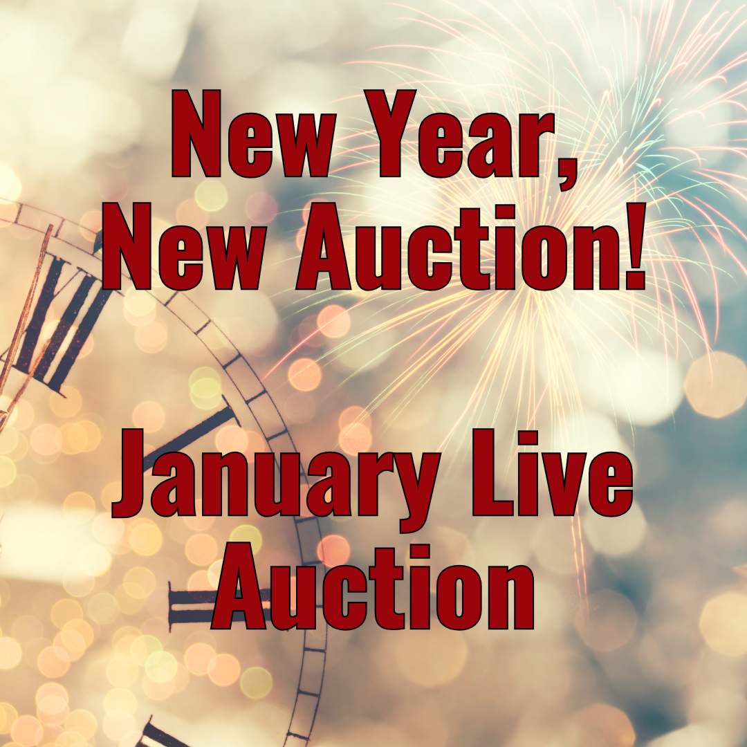 January Live-New Year, New Auction!